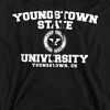 Youngstown State University Official Circle Logo Adult Pull-Over Hoodie, Black - image 2 of 4