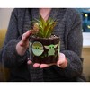 Silver Buffalo Star Wars: The Mandalorian The Child Ceramic Planter with Artificial Succulent - 2 of 4