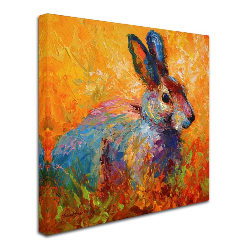 Trademark Fine Art -Marion Rose 'Bunny IV' Canvas Art, 1 of 4