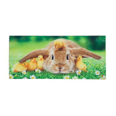 Evergreen Bunny and Duckling Sassafras Indoor Outdoor Switch Doormat 1'10"x10" Multicolored