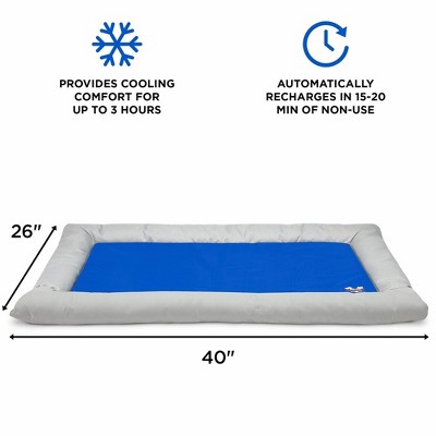 Gray and Blue Gel-Based Self Cooling Pet Bed