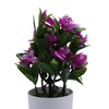 Unique Bargains Artificial Plants Phalaenopsis Orchid Display Plastic 3.74"x3.74"x10.63" 1 Pc - 4 of 4
