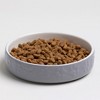 Mason Cash: Paw Print Pet Saucer - Grey - 5.2", 6.8oz - Cat Food-Water Dish - 2 of 4