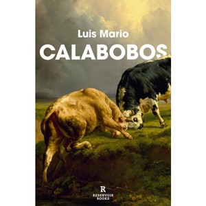Calabobos / Drizzle - by  Luis Mario (Paperback) - 1 of 1