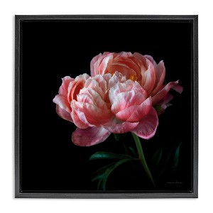Stupell Industries Dark Rose Photography, 18" x 18" - 1 of 4
