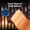 Blue Buffalo Nudges Grillers Salmon Flavor Dog Treats - 16oz - 3 of 4