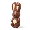 Spring Easter Milk Chocolate Hollow Bunny - 2oz - Favorite Day™ - 2 of 3