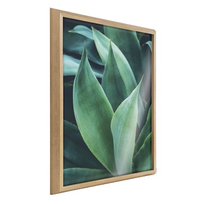 Kate And Laurel Blake Agave Ii Framed Printed Art By Emiko And Mark ...