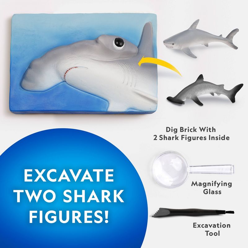 National Geographic Shark Dig Kit, 2 of 4