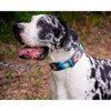 Country Brook Petz Martingale Dog Collar - Groovy Collection - 4 of 4