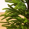 Nearly Natural 32" Artificial Real Touch Norfolk Island Pine in Christmas Tin Metal Planter with Natural Look - 2 of 4