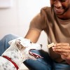 Milk-Bone Biscuits Gravy Bones with Beef, Chicken, Liver and Bacon Flavors Dog Treats - 19oz - image 3 of 4