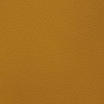 antoine winfield jr.