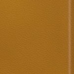 antoine winfield jr.