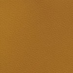 antoine winfield jr.