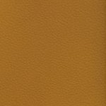 antoine winfield jr.