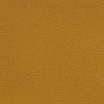 antoine winfield jr.