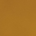 antoine winfield jr.