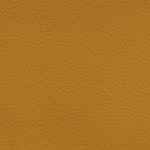 antoine winfield jr.