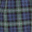 blue and green tartan plaid