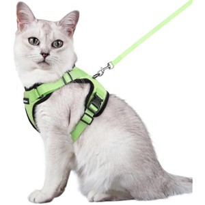 rabbitgoo Cat Harness and Leash for Walking, Escape Proof Soft Easy Control Breathable Reflective Strips Jacket, Light Green, M - 1 of 1