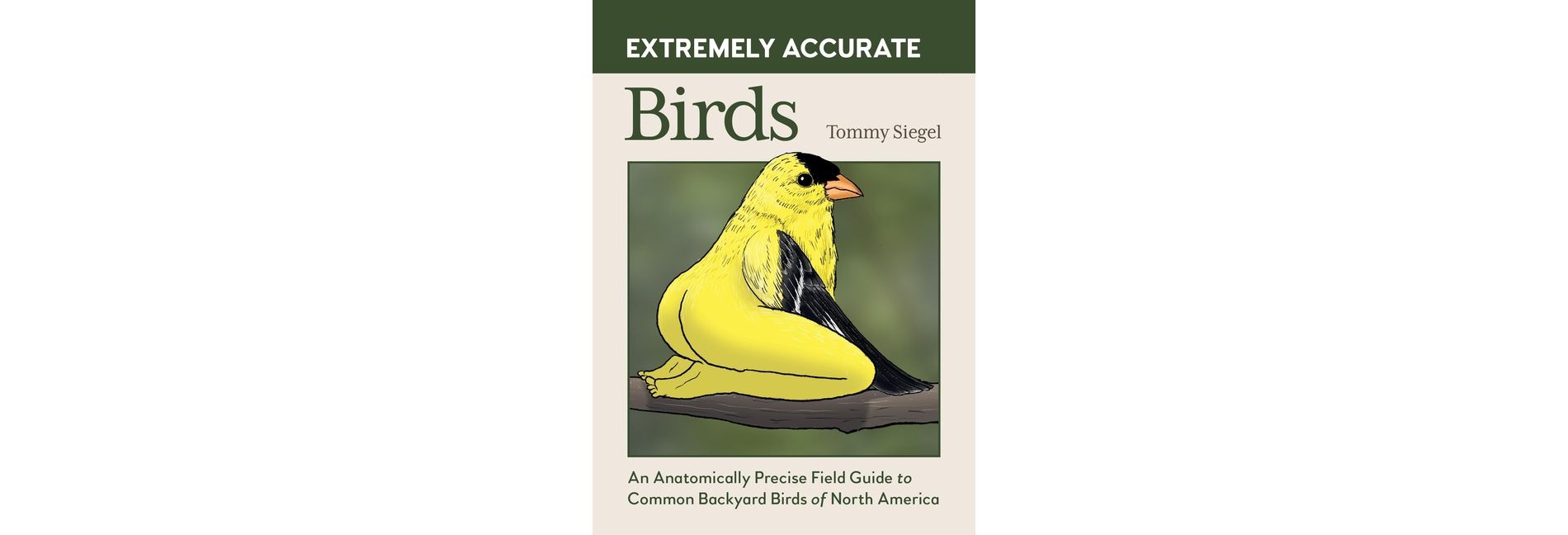 Extremely Accurate Birds - by  Tommy Siegel (Hardcover)
