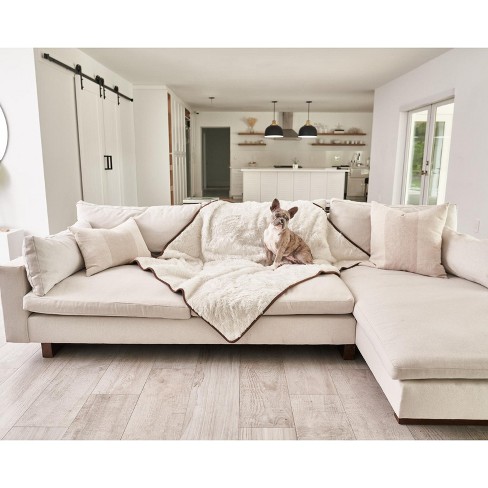 Paw original pupprotector sales