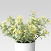 9" x 6" Artificial Boxwood Arrangement - Threshold™ - image 3 of 4