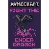 Trends International Minecraft - Fight The Ender Dragon Unframed Wall Poster Prints - 4 of 4