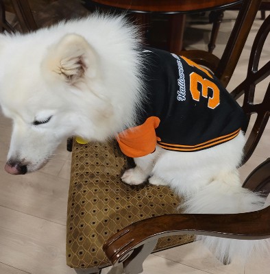 Guest review image 1 of 1, zoom in