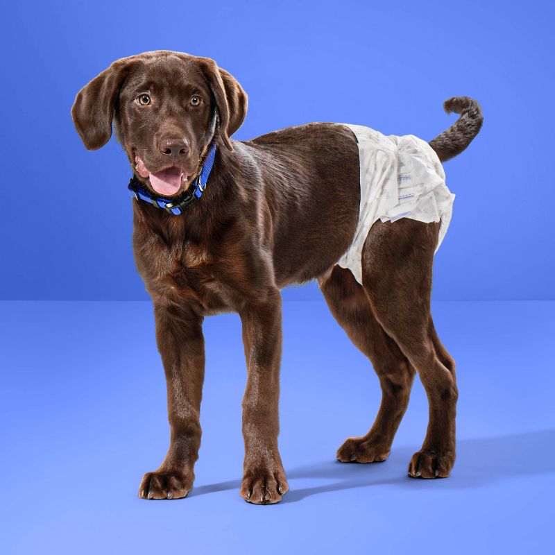 Dog Diapers - 18ct - up & up™, 3 of 8