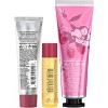 Burt's Bees Lip Balm Gift Set - Merry Berry - 3pc - 3 of 3