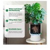Set of 2 Self-Watering Planters (14") with drainage holes & water monitor. Perfect for patio, porch, living room, or home office. - 4 of 4