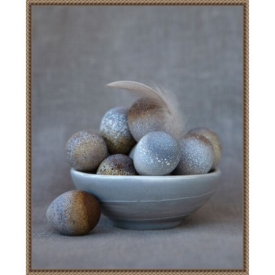 Amanti Art The Feather by Tania Soderman Framed Canvas Wall Art