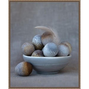 Amanti Art The Feather by Tania Soderman Framed Canvas Wall Art - 1 of 4