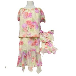 Size 12 1/2 Matching Girl And Doll Chiffon Flowers Skirt And Blouse - 1 of 4