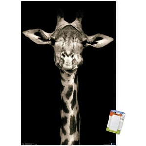 Trends International Portrait of a Giraffe Unframed Wall Poster Prints - 1 of 4