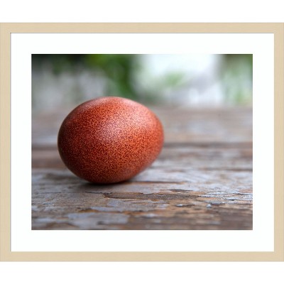 Amanti Art Egg on Wood by Tania Soderman Wood Framed Wall Art Print