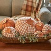 Park Designs Short Orange And Cream Check Pumpkin - Set of 2 - image 2 of 4