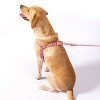 AWOO Roam No-pull Adjustable Recycled Dog Harness - 3 of 4