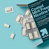Nicotine 4mg Gum Stop Smoking Aid - Mint Freeze - up&up™ - 2 of 3