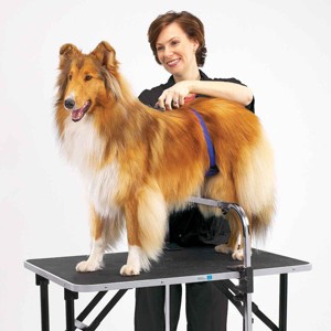 Master Equipment Adjustable Grooming Supports - 1 of 1