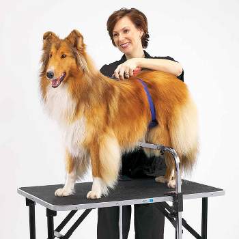 Top Dogs Show Supplies  Grooming Table Over Mats