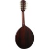 Kentucky KM-120 Army-Navy Special-Edition Mandolin Brown - 2 of 4