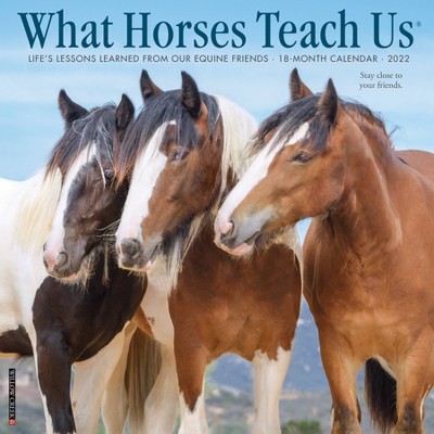 2022 Wall Calendar What Horses Teach Us - Willow Creek Press