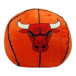 NBA Chicago Bulls Cloud Pillow