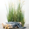 Sullivans Artificial Potted Dogtail Grass - 4 of 4