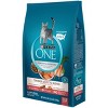 Purina ONE Tender Selects Blend with Real Salmon Adult Premium Dry Cat Food - image 4 of 4