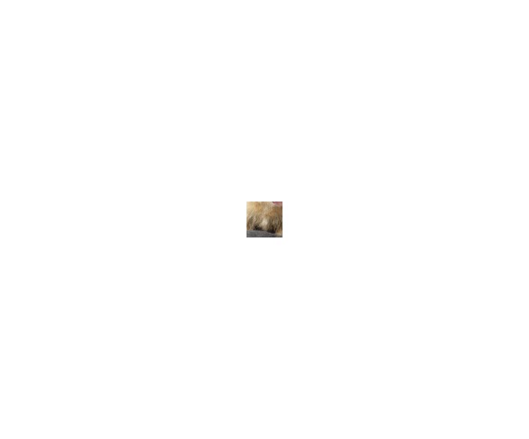 House of Paws Boxed Pet Duvet - Gray Hessian - Small