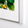 Bethany Young Photography Amalfi Coast Lemons 13"x19" Silver Metal Framed Art Print - Deny Designs - 4 of 4